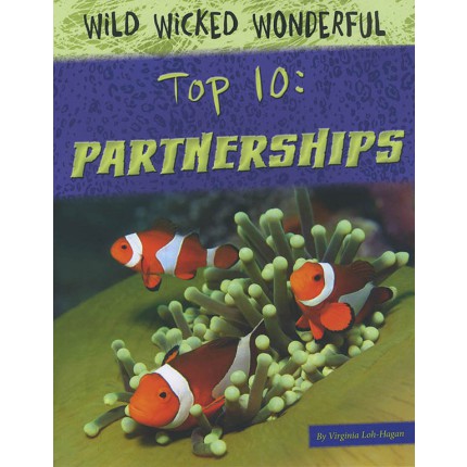 Top 10 - Partnerships