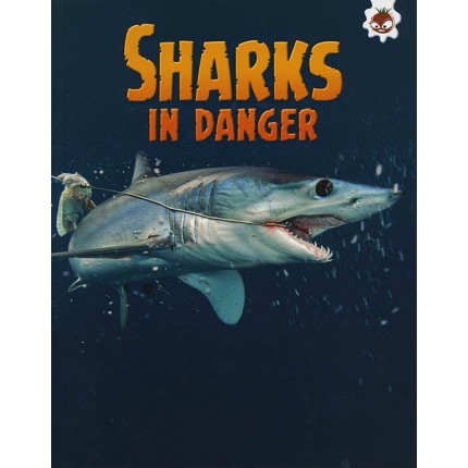 Sharks! - Sharks In Danger